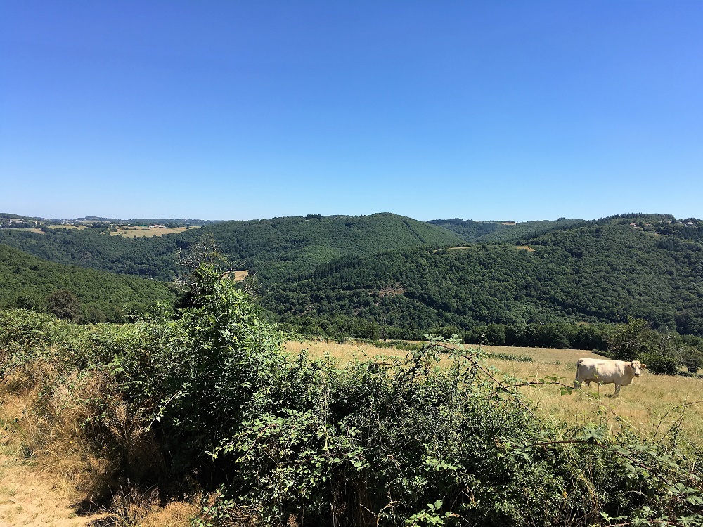 Landschap bij Clermont-Ferrand